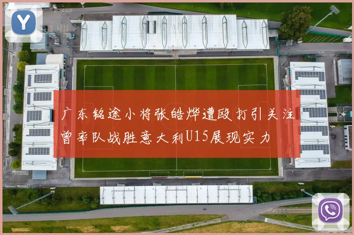 广东铭途小将张皓烨遭殴打引关注曾率队战胜意大利U15展现实力