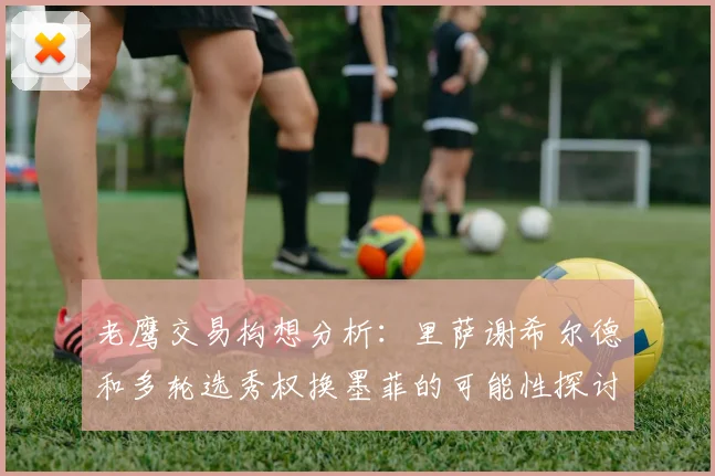 老鹰交易构想分析：里萨谢希尔德和多轮选秀权换墨菲的可能性探讨